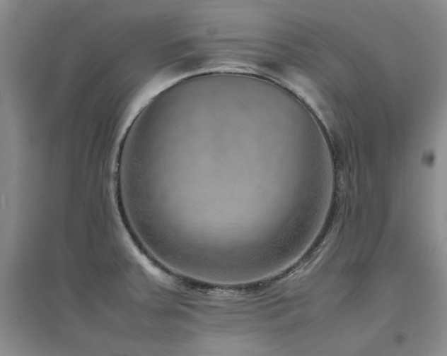 X0000094801379200711161447
