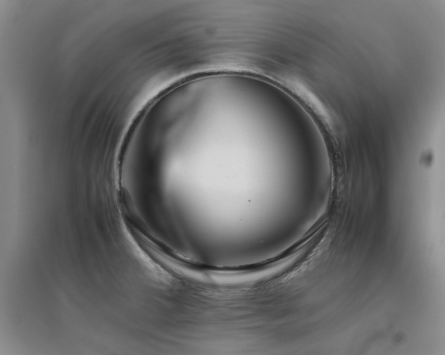 X0000094801380200711161447