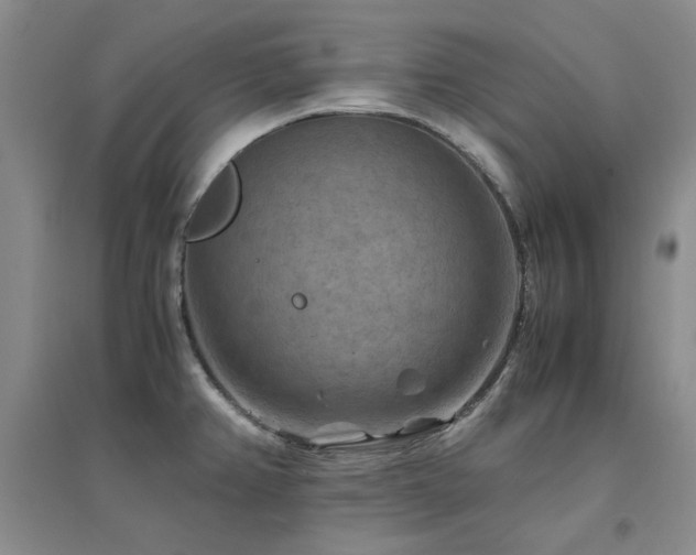 X0000094801382200711161447