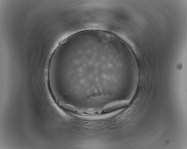 X0000094801383200711161447