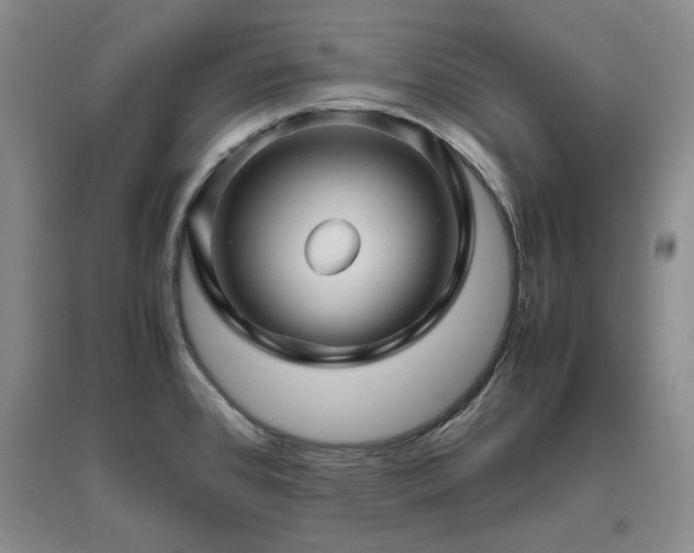 X0000094801384200711161447