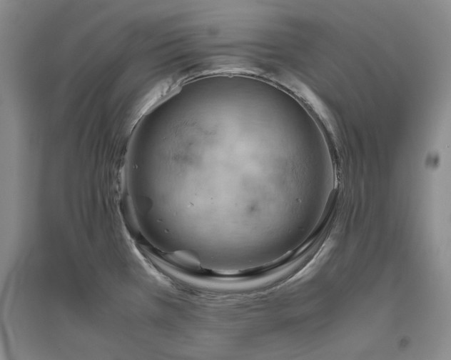 X0000094801385200711161447