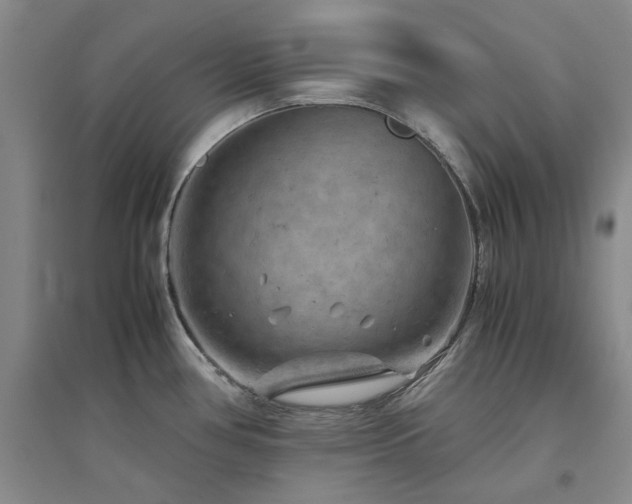 X0000094801386200711161447