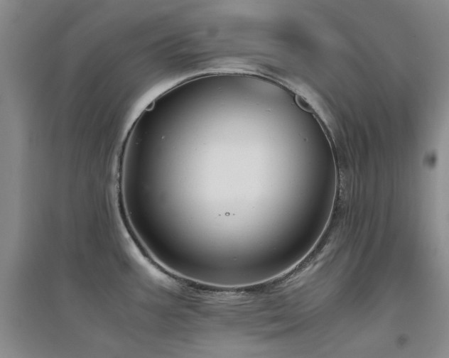 X0000094801387200711161447