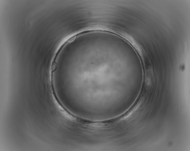 X0000094801388200711161447