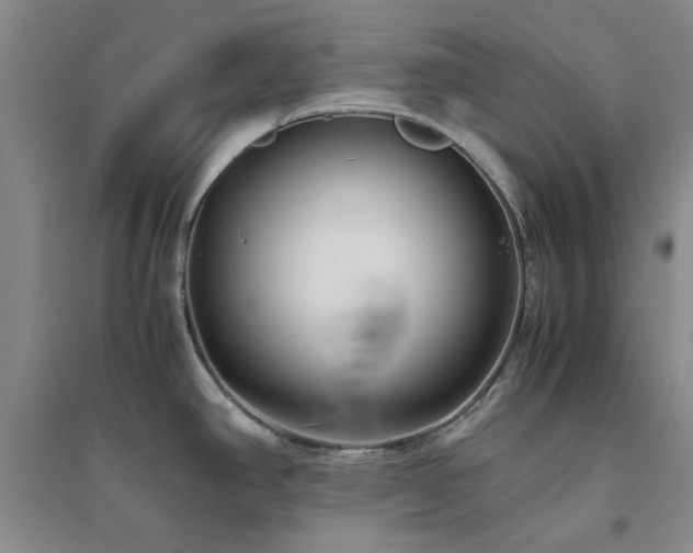 X0000094801390200711161447