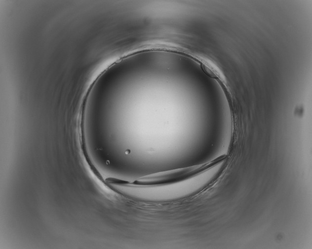 X0000094801391200711161447