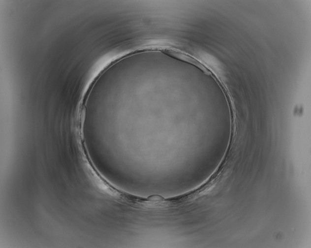 X0000094801392200711161447