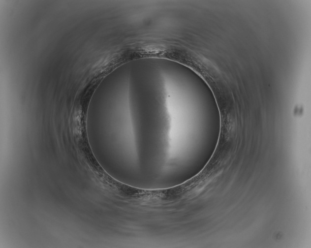 X0000094801394200711161446