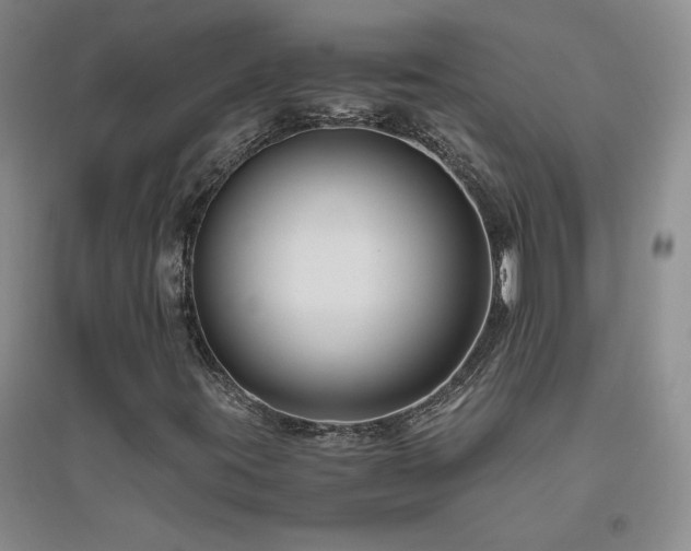 X0000094801395200711161446