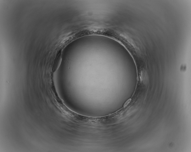 X0000094801396200711161446