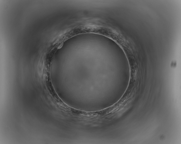 X0000094801397200711161446
