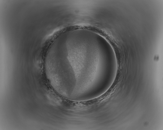 X0000094801398200711161446