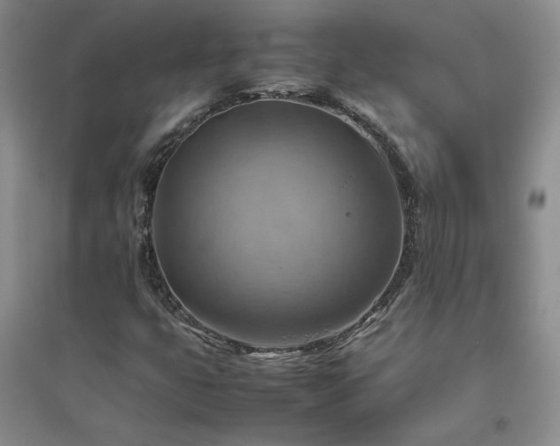 X0000094801399200711161446