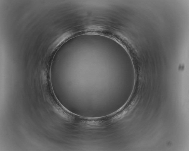 X0000094801401200711161446