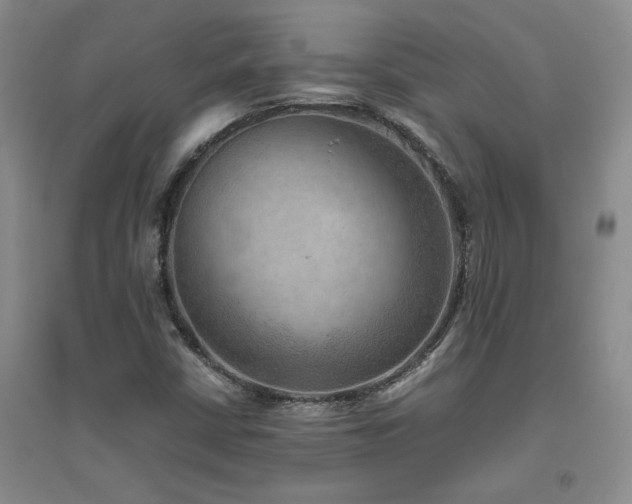 X0000094801402200711161446
