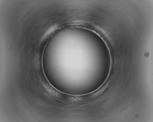 X0000094801403200711161446