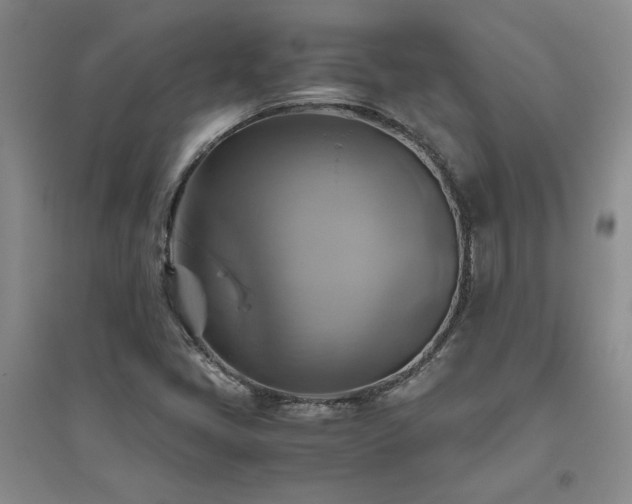 X0000094801405200711161446