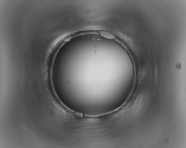 X0000094801406200711161446