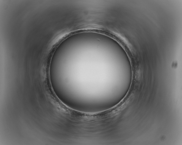 X0000094801407200711161446