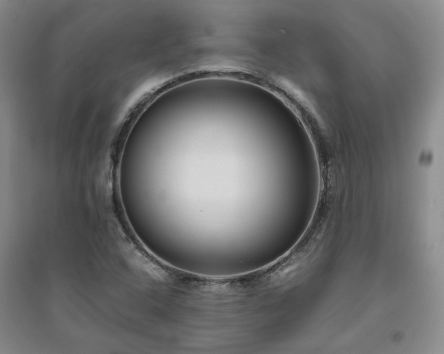 X0000094801408200711161446