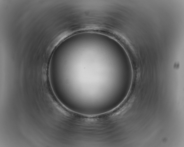X0000094801409200711161447