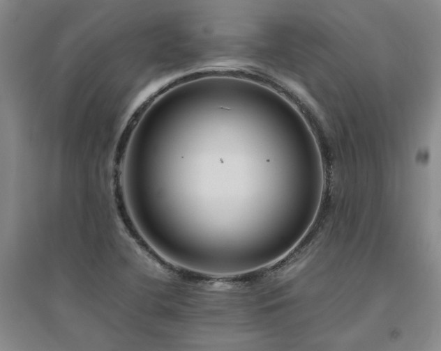 X0000094801412200711161447