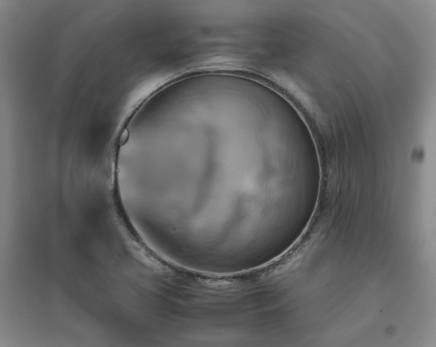 X0000094801413200711161447