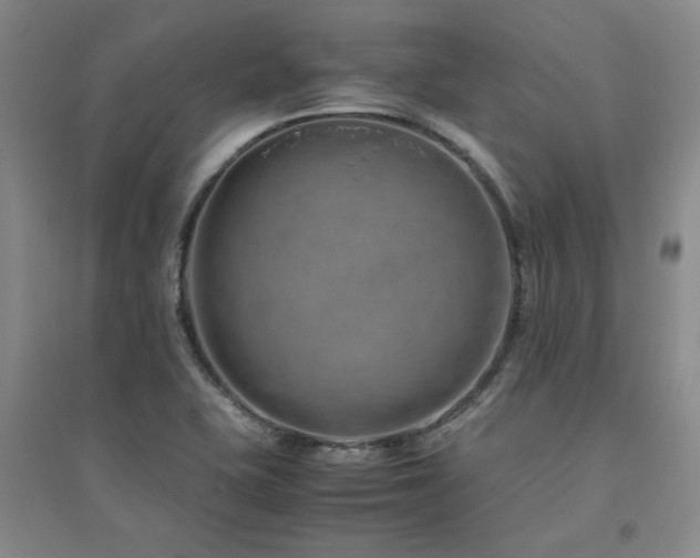 X0000094801415200711161447