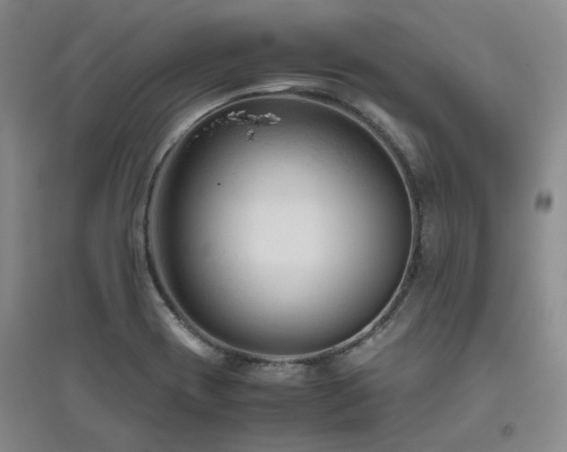 X0000094801417200711161447