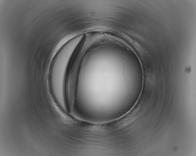 X0000094801418200711161447