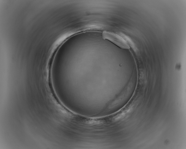X0000094801419200711161447