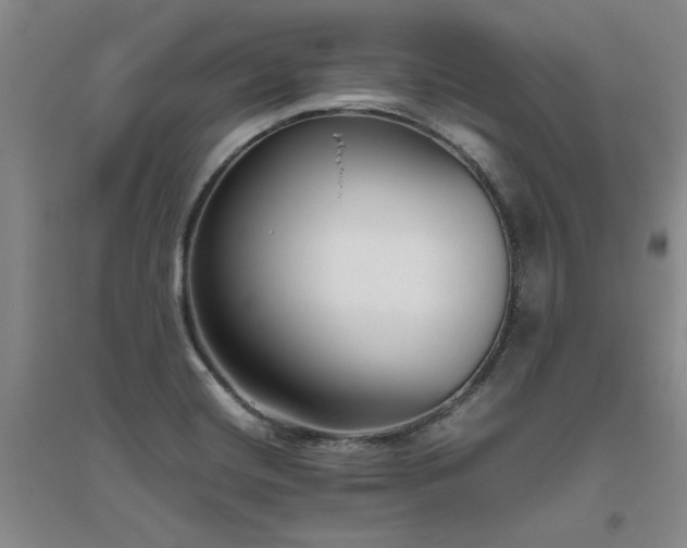X0000094801420200711161447