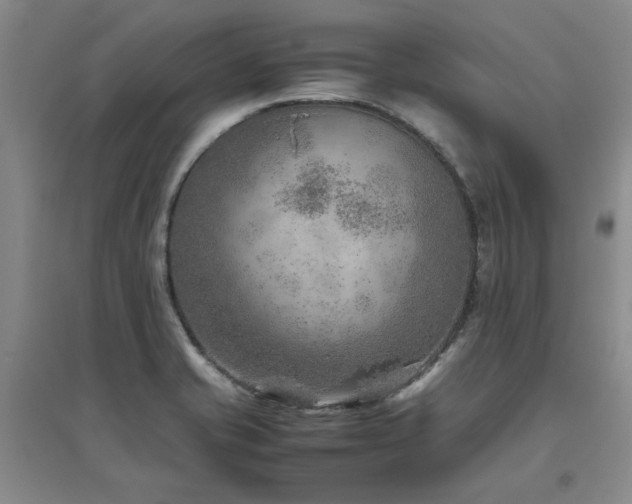 X0000094801421200711161447