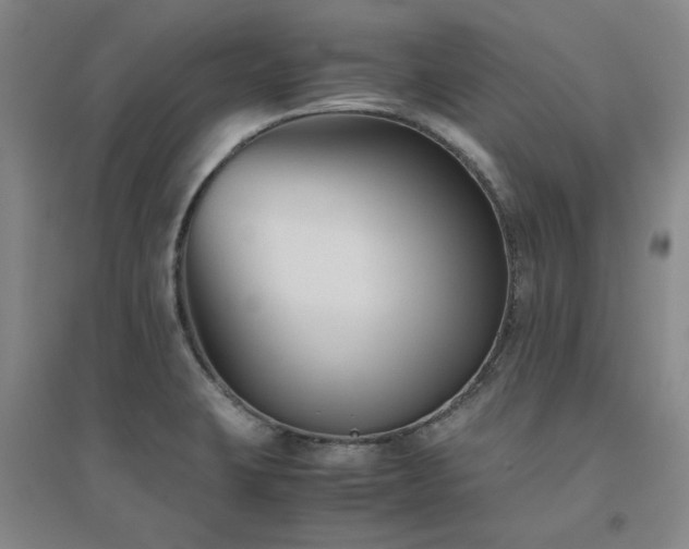 X0000094801423200711161447