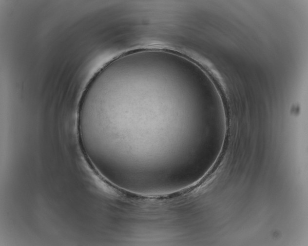 X0000094801424200711161447