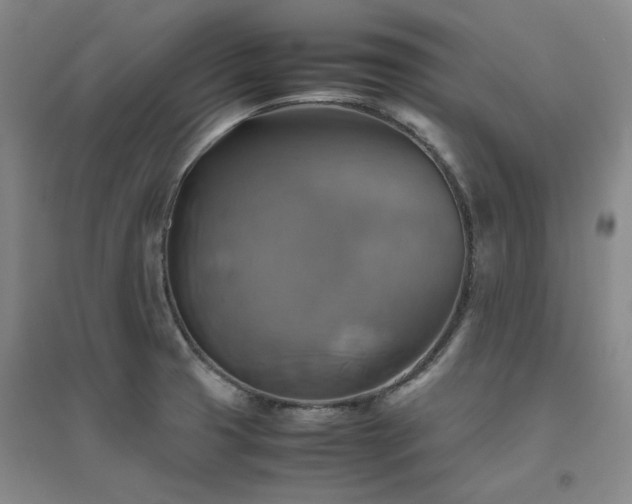X0000094801425200711161447