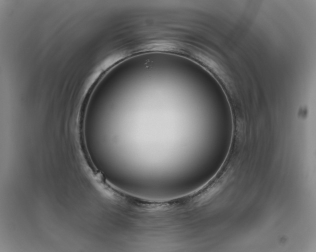 X0000094801426200711161447