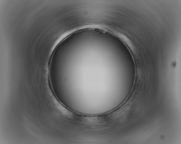 X0000094801428200711161447