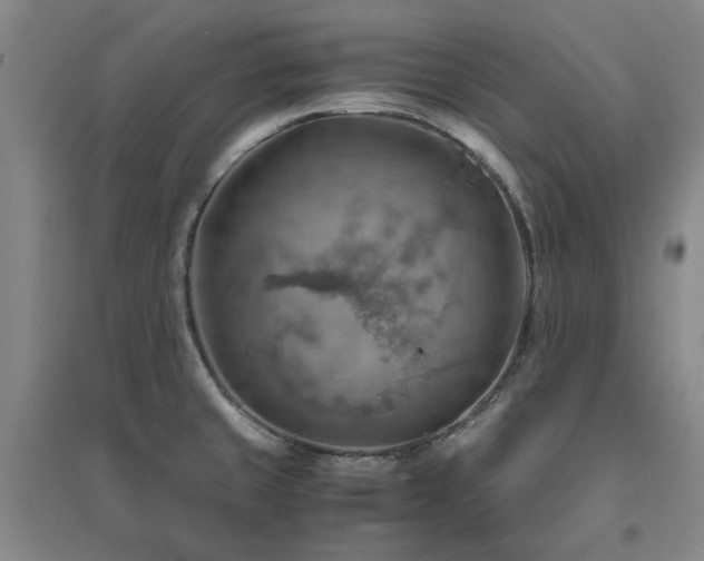 X0000094801429200711161447