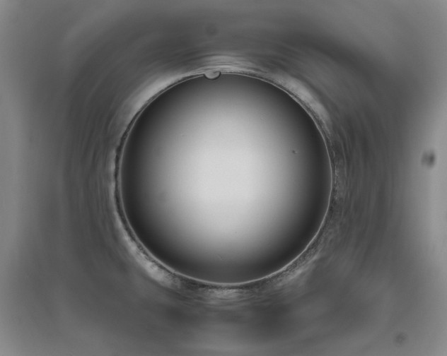 X0000094801431200711161447