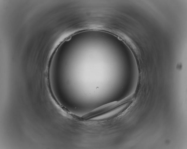 X0000094801432200711161447