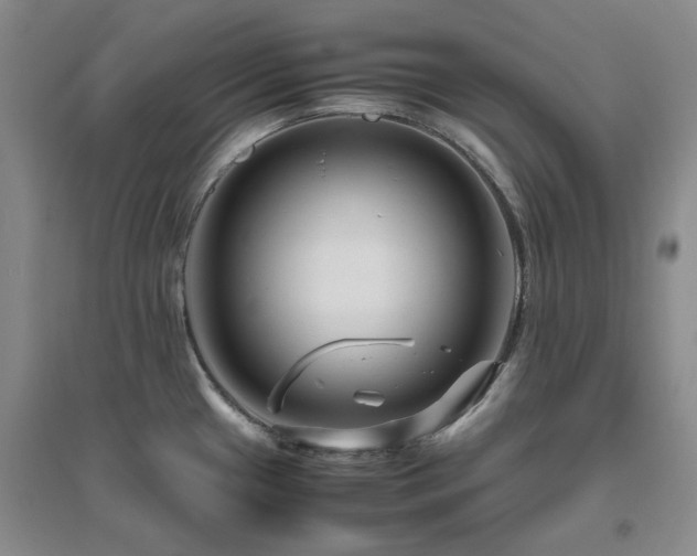 X0000094801433200711161447