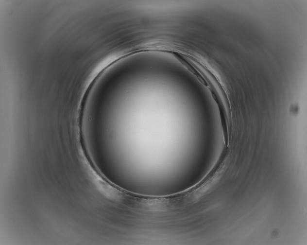 X0000094801434200711161447