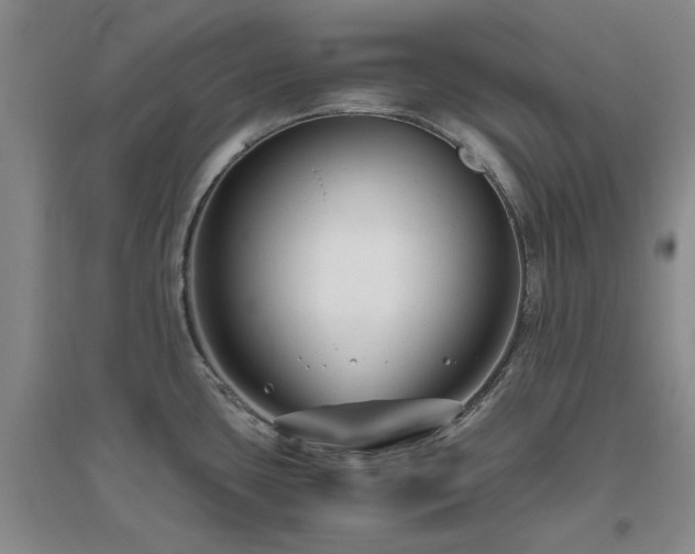 X0000094801435200711161447