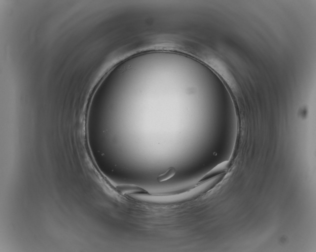 X0000094801436200711161447