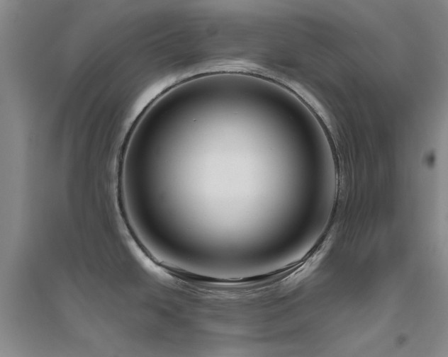 X0000094801438200711161447