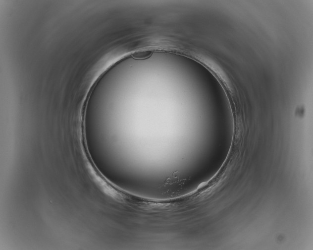 X0000094801439200711161447