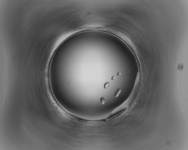 X0000094801440200711161447