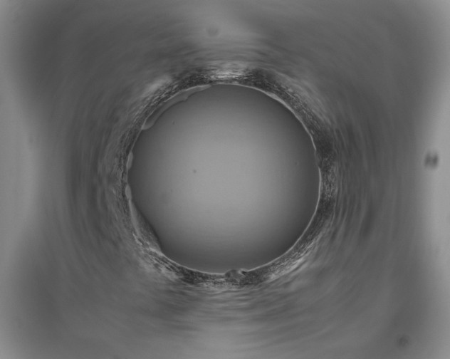 X0000094801441200711161446